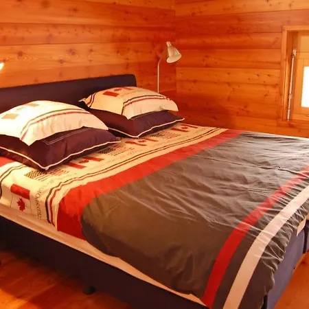 Haute Sleeps 10 Wifi Holiday home Nendaz